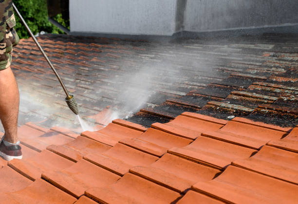 Best Affordable Power Washing  in Lawrenceburg, KY